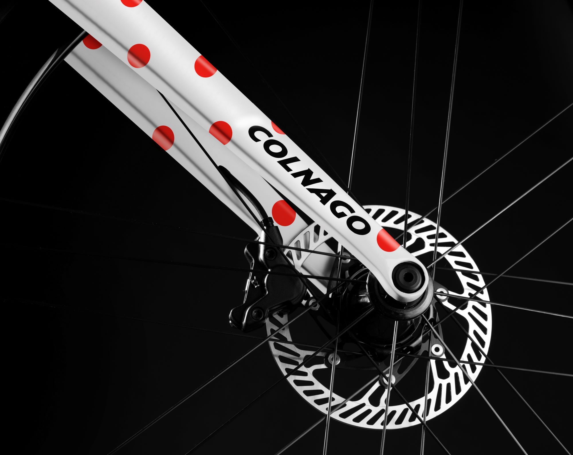 colnago campagnolo gearset pogacar polka dot