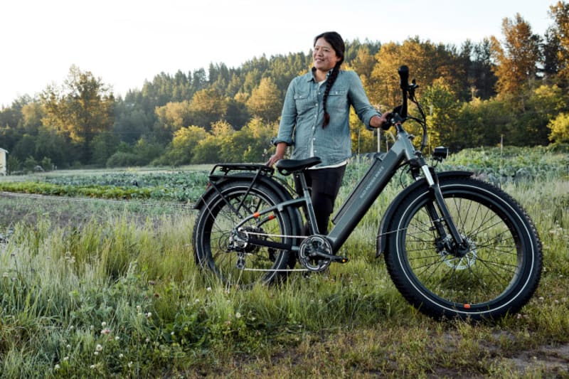 rad power radrover 6 plus