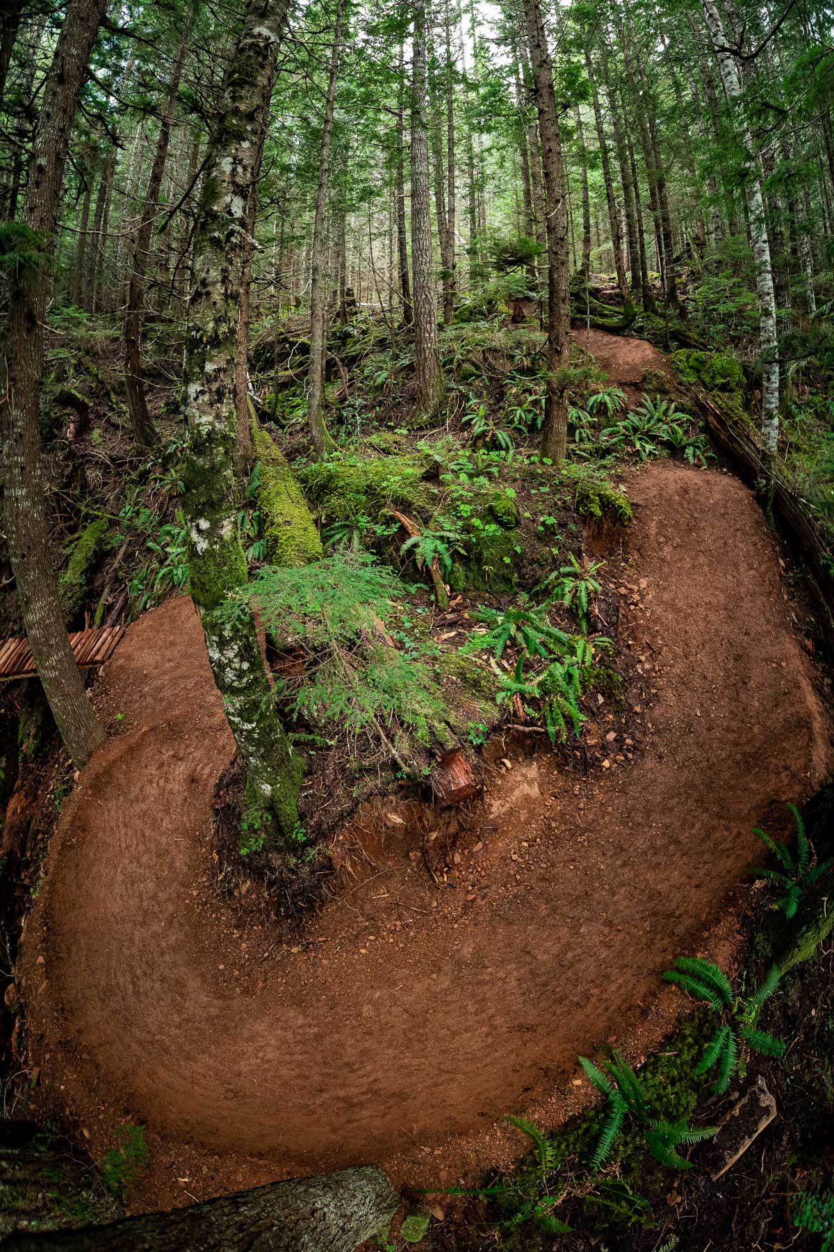 sculpted berms blue square flow trail bc blueprint