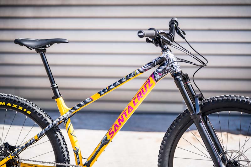 Santa Cruz Chameleon, custom 1