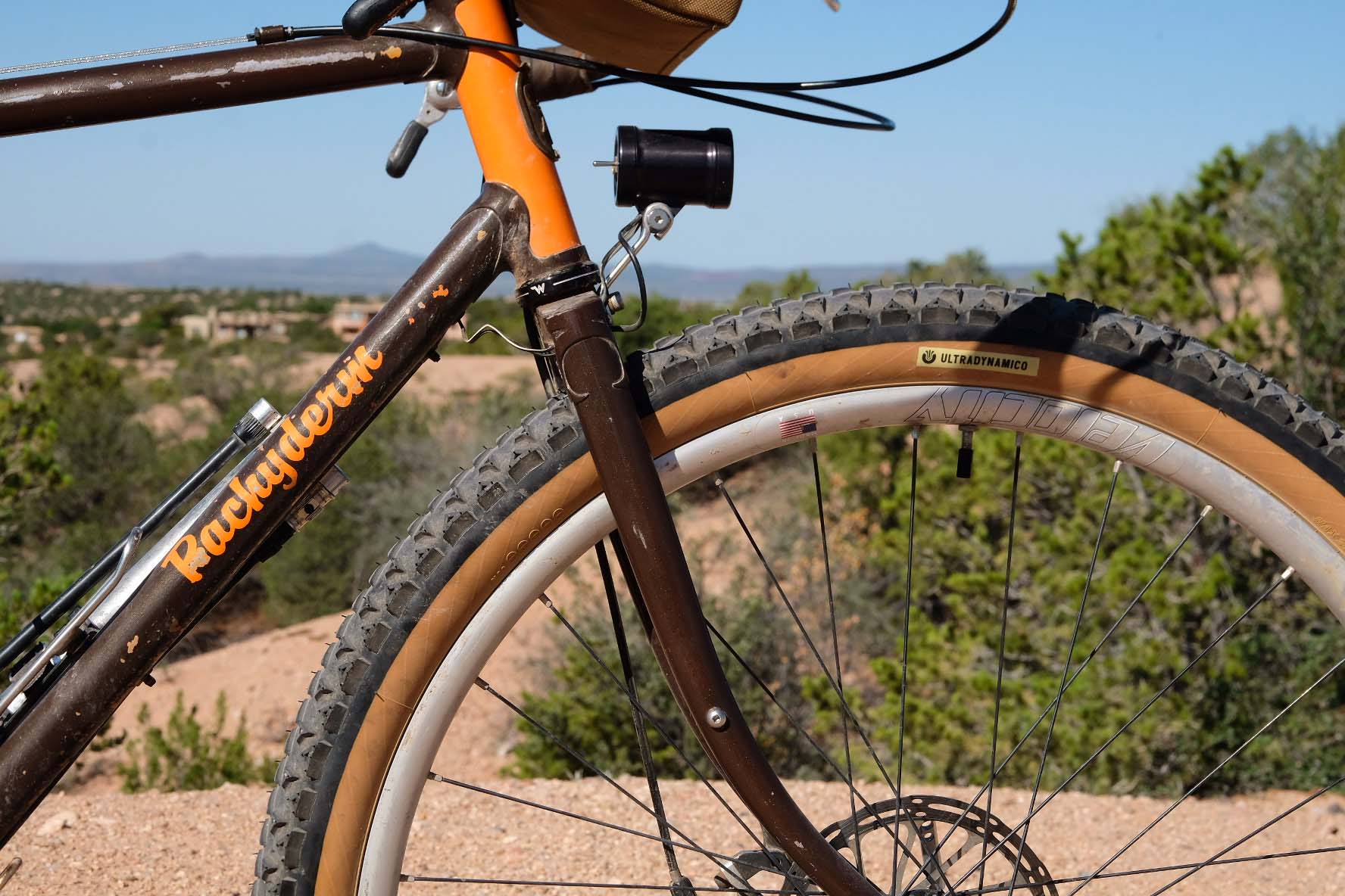 a close-up of a pachyderm bike frame