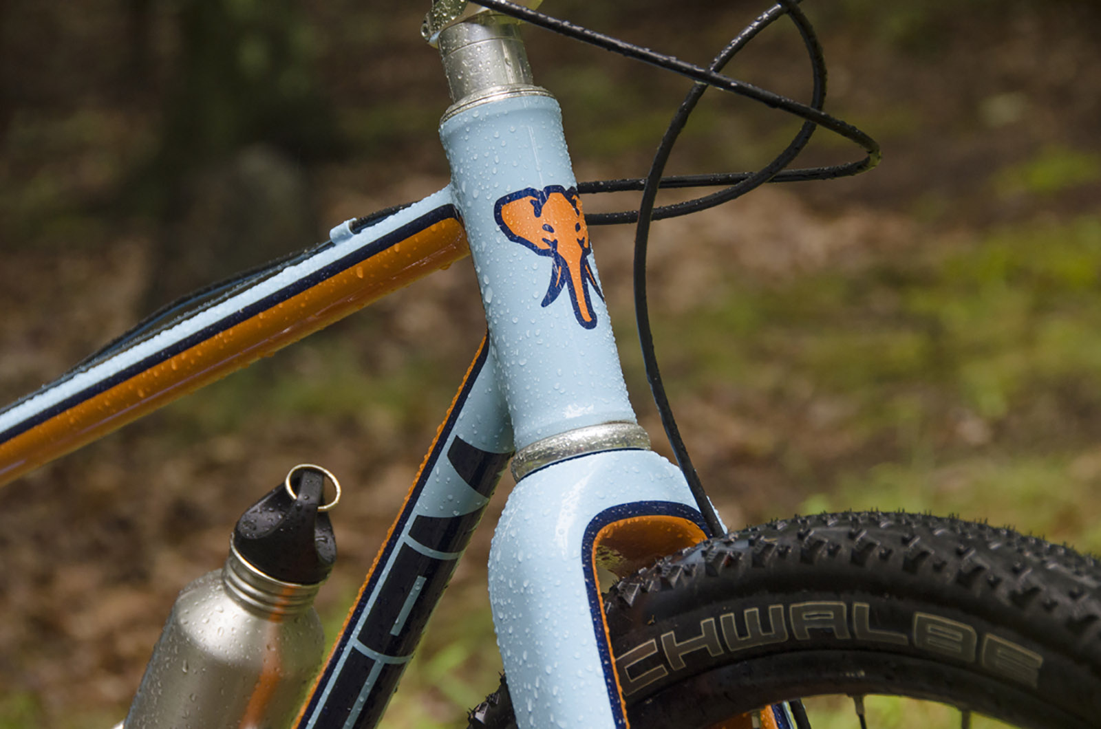 a close-up of a pachyderm bike head tube