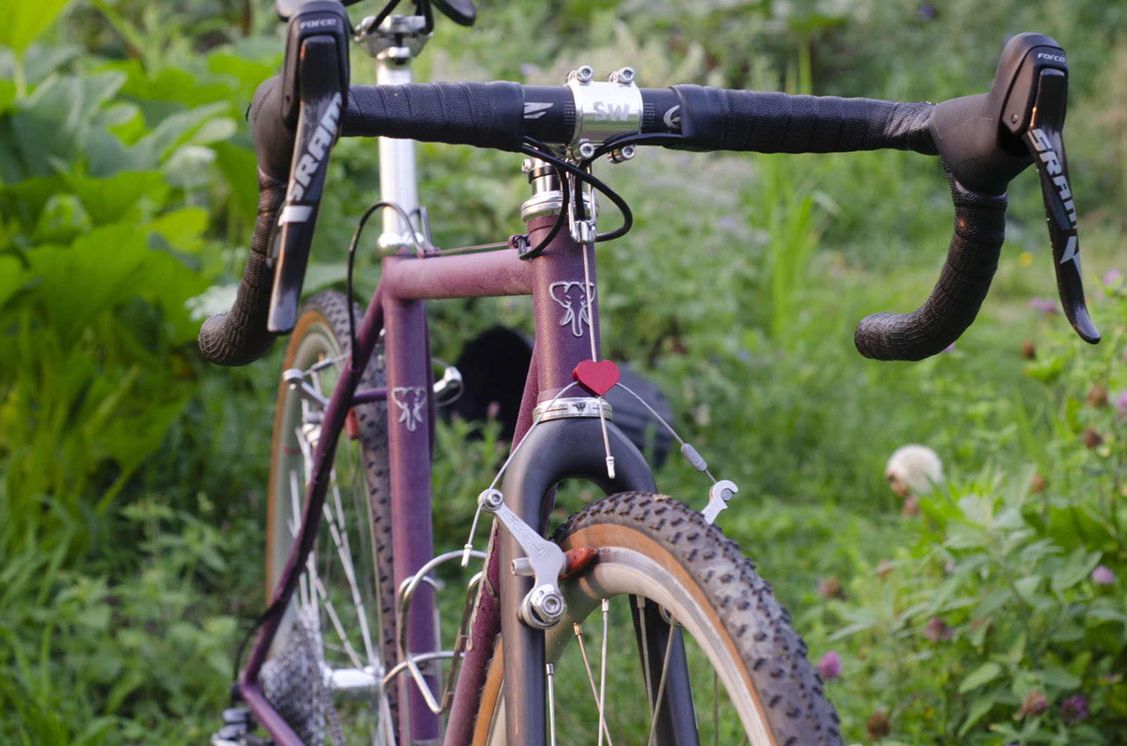 a close-up of a pachyderm bike frame