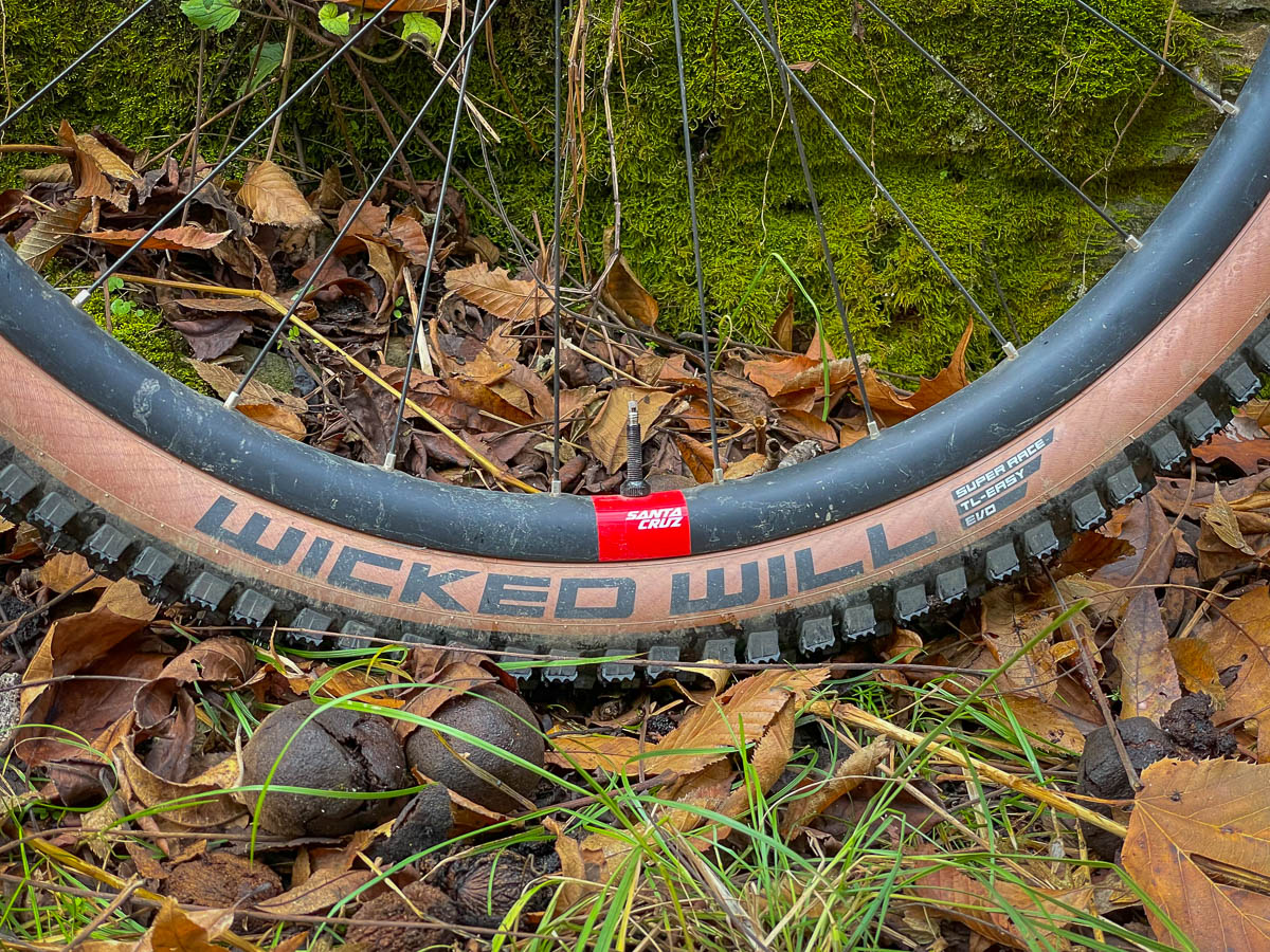 Bikerumor Editor's Choice Awards 2021 Schwalbe Wicked Will