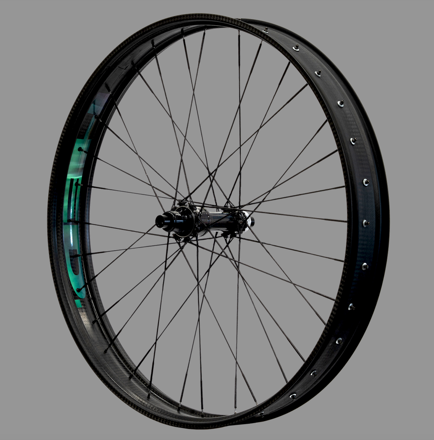 HED Made in Minnesota Big Deal fat bike wheel.