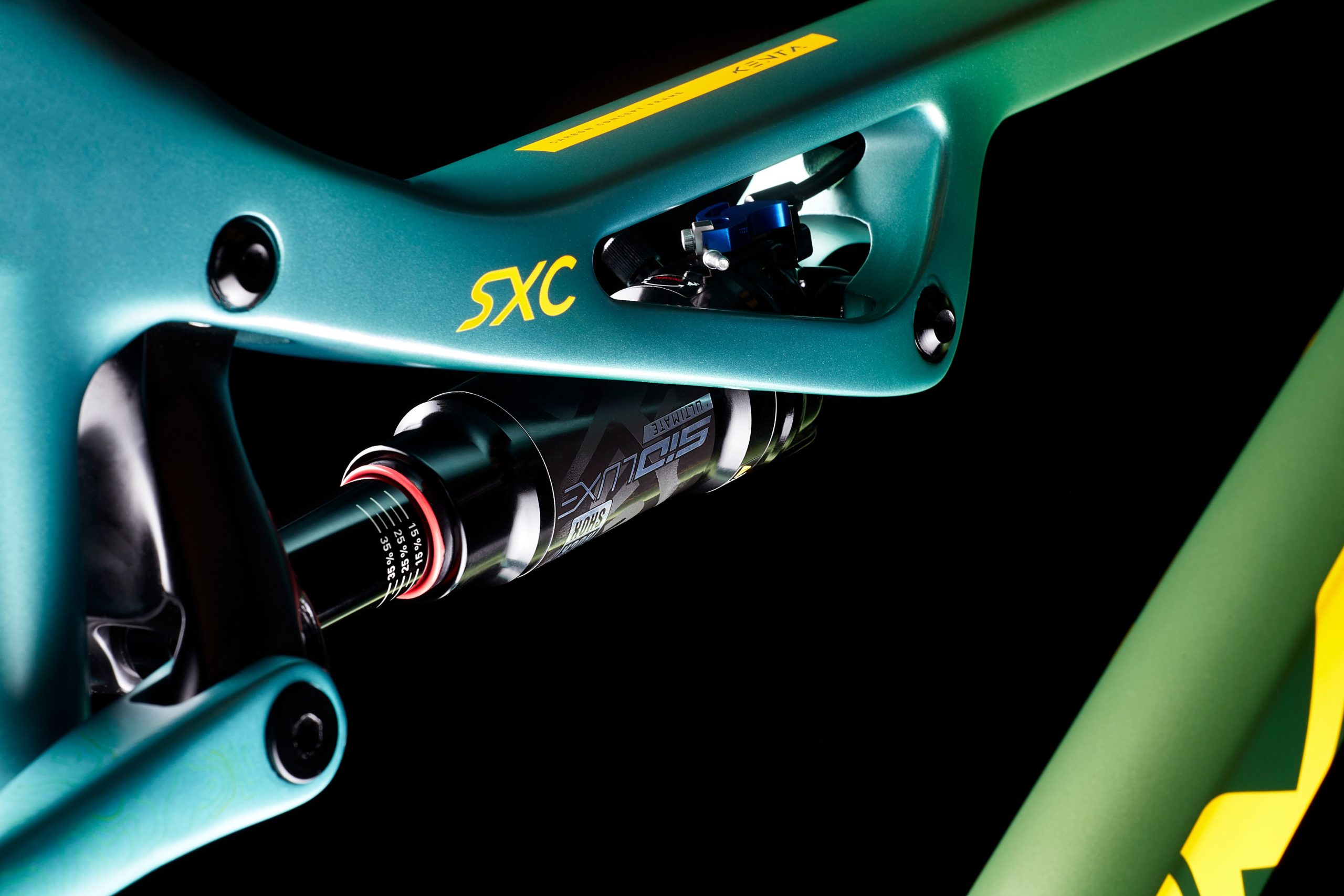 Kenta SXC detail shock view.