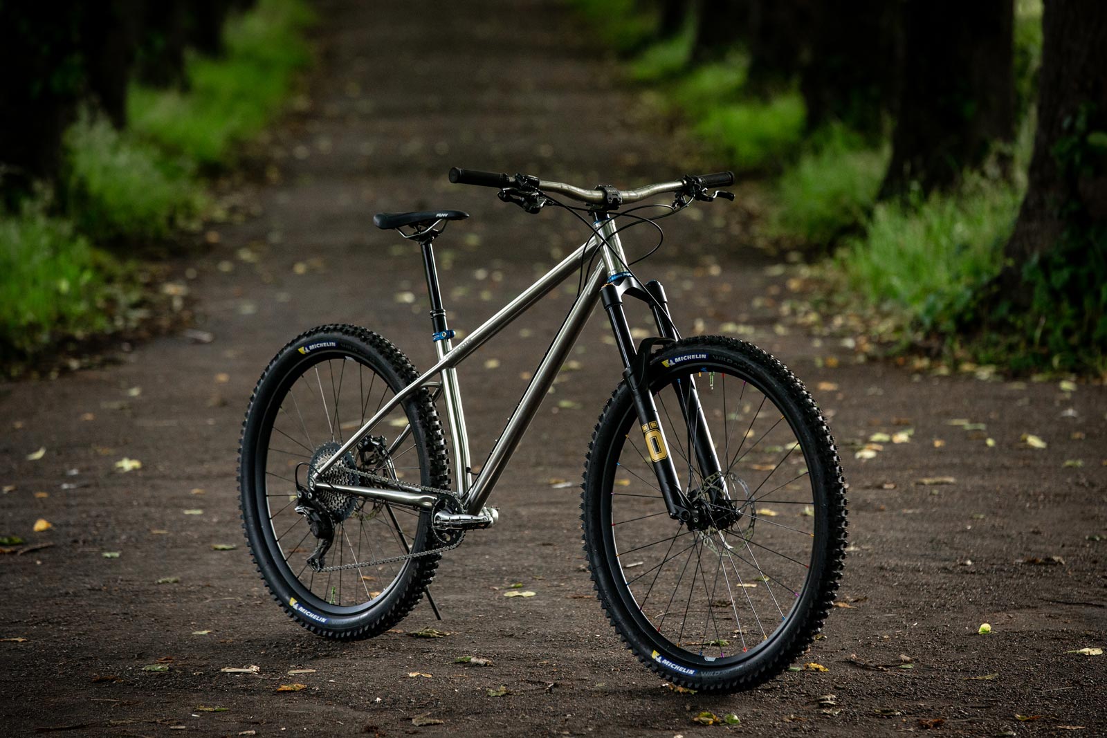 starling roost hardtail mountain bike stainless steel frame 140mm fork
