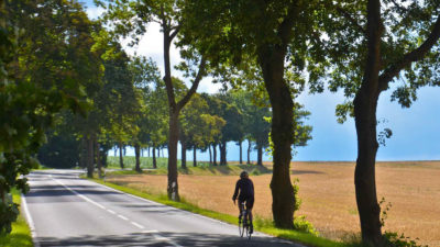 Friday Roundup: 36-day Europe tour, Kitsbow Ambassador, Win a Moots & more!