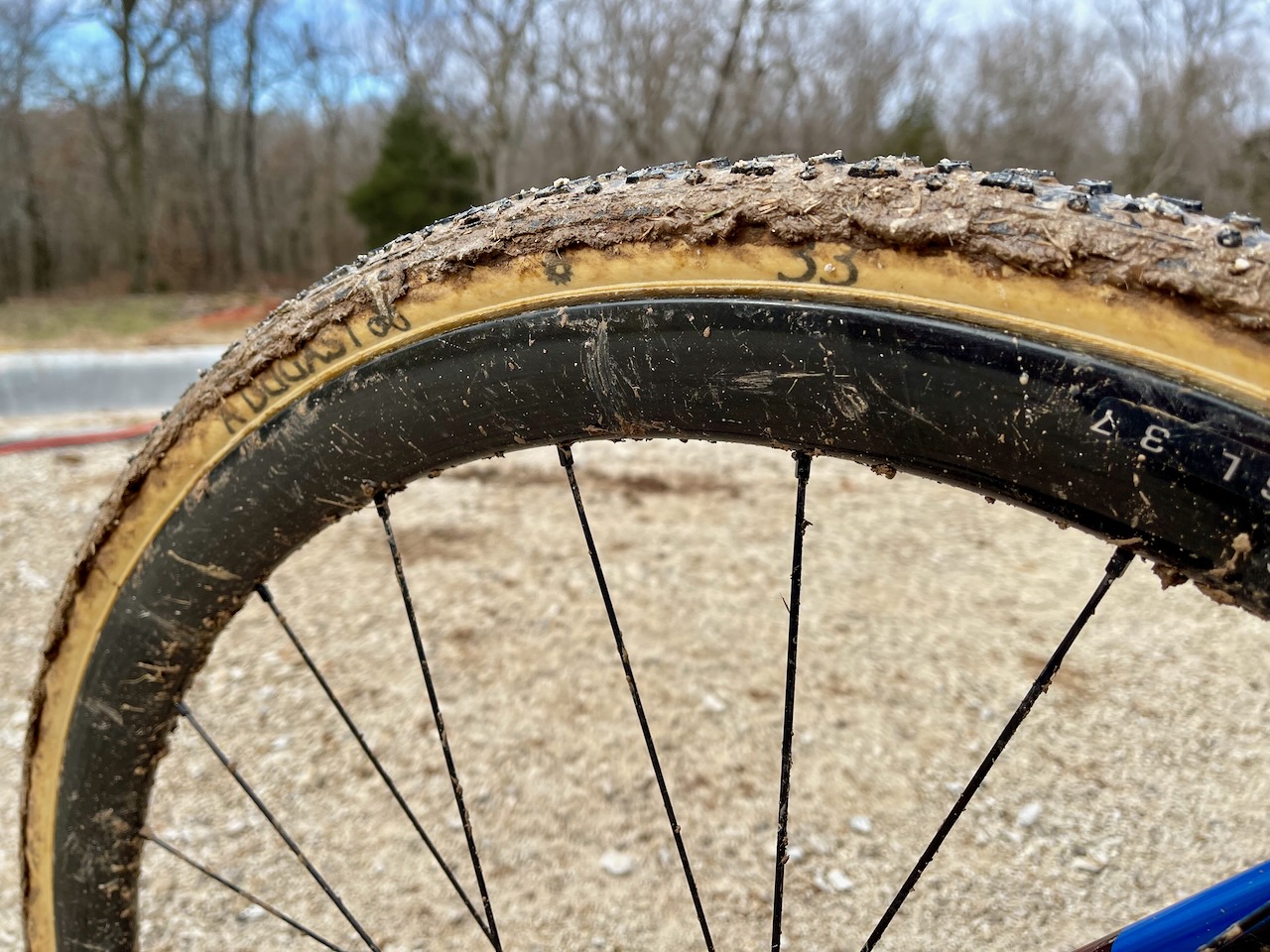 Vittoria Dugast Dutch National Team finding the right tire