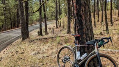 Bikerumor Pic Of The Day: Spangle, Washington