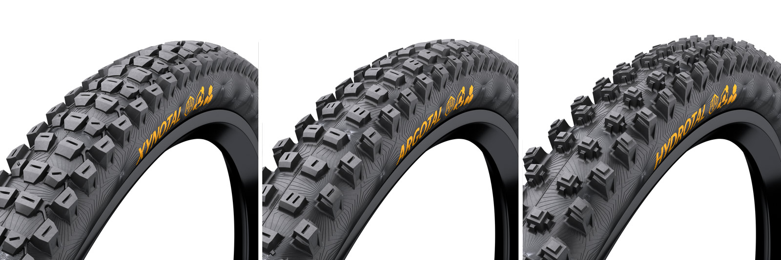 continental xynotal argotal hydrotal
