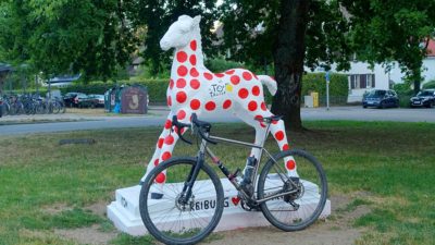 Bikerumor Pic Of The Day: Freiburg im Breisgau, Germany