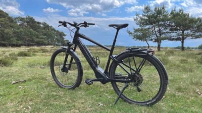 Bikerumor Pic Of The Day: Veluwe, Netherlands