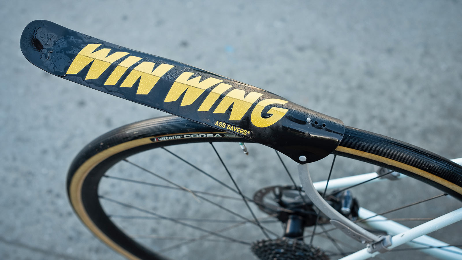 Ass Savers Win Wing minimalist lightweight strap-on gravel road bike rear fender, road wet