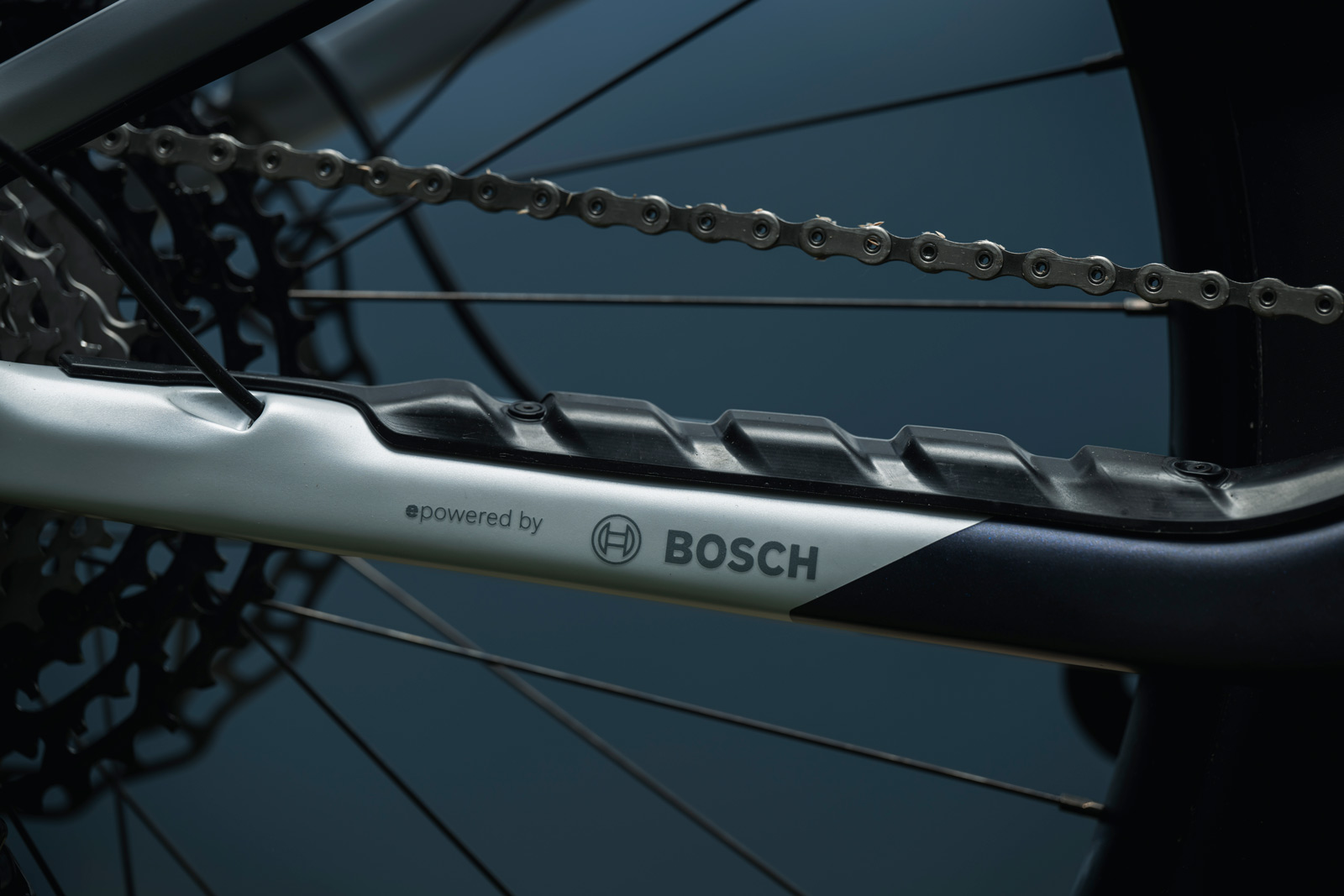 2023 orbea willd chainstay protector
