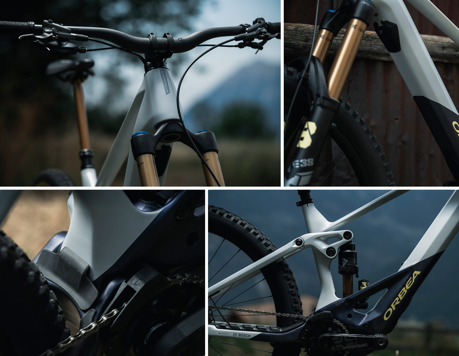 2023 orbea wild details