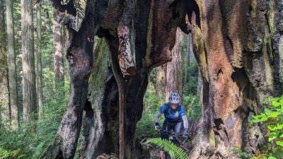 Bikerumor Pic Of The Day: Arcata, California