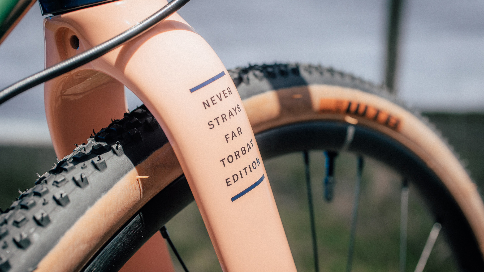 The Cotic Escapade art bike