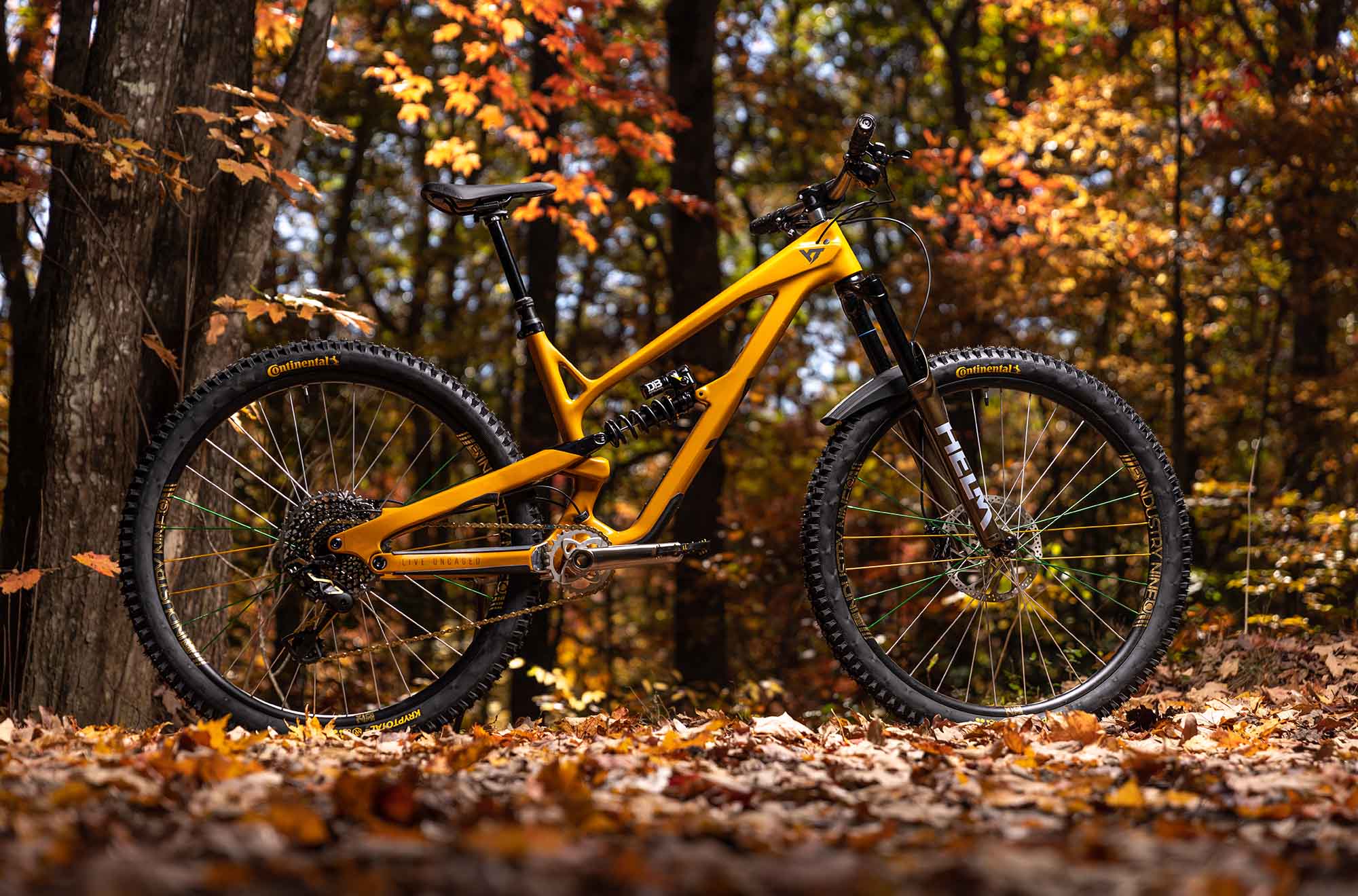 pisgah bike