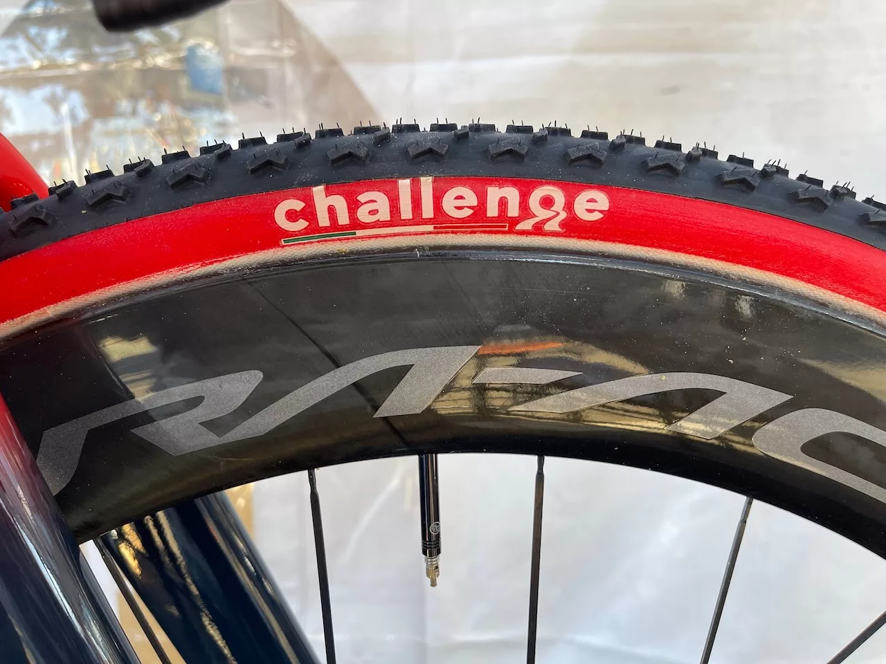 New Challenge Baby Limus Side header