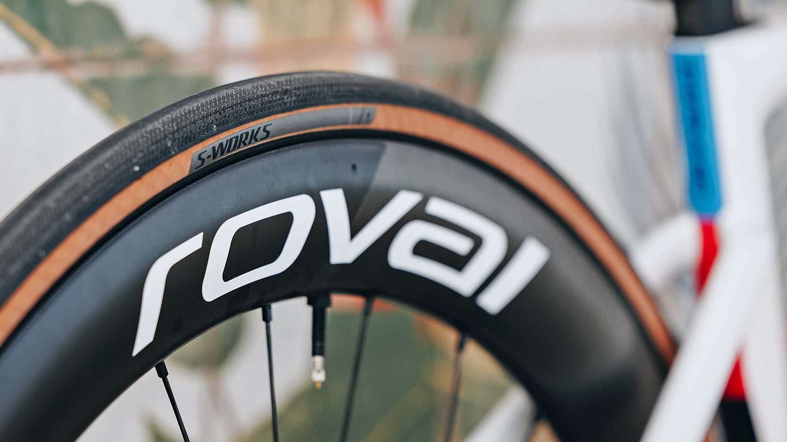 S-Works World Champ Tarmac SL7 of Niamh Fischer-Black, Roval Rapide wheels, Turbo tires