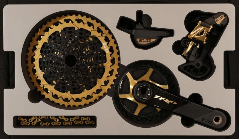 TRP EVO12 group with gold finish