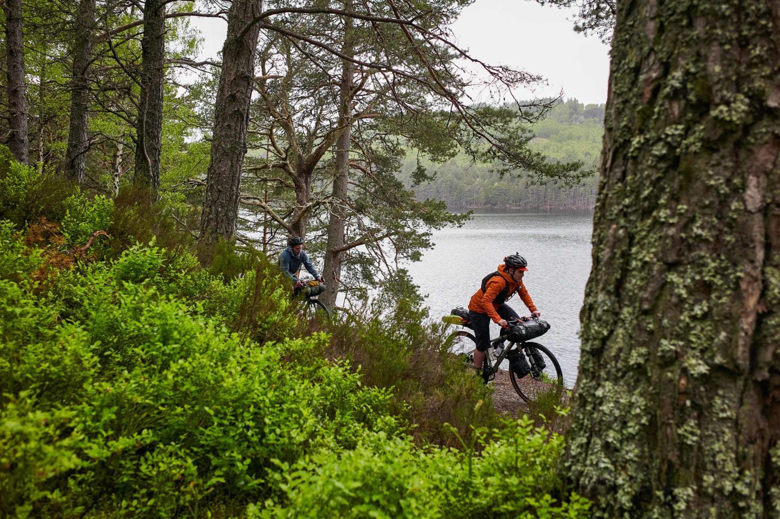 a cyclist riding through the woods