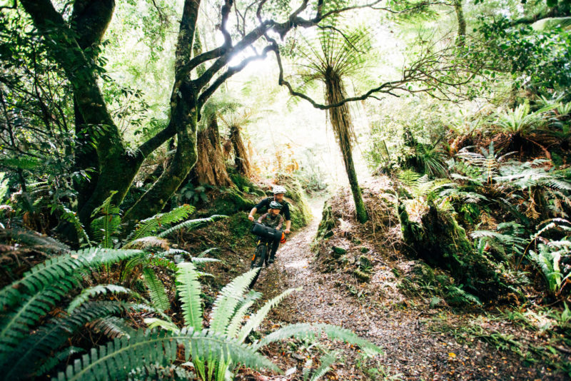 kids ride shotgun bike seat moerangi trail rainforest tracks bikepacking trip nz