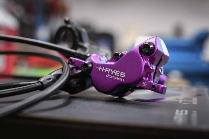 Hayes Dominion A4 caliper.