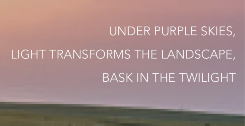 Under purple skies, light transforms the landscape, bask in the twilight