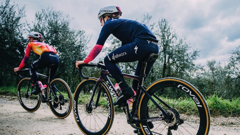 Specialized Mondo Tire SD-Worx