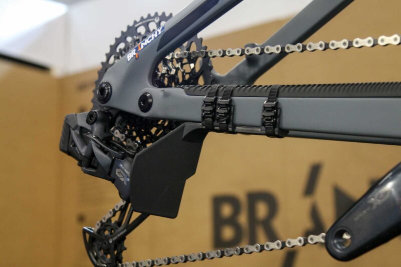 Branchy Derailleur Guard from the front