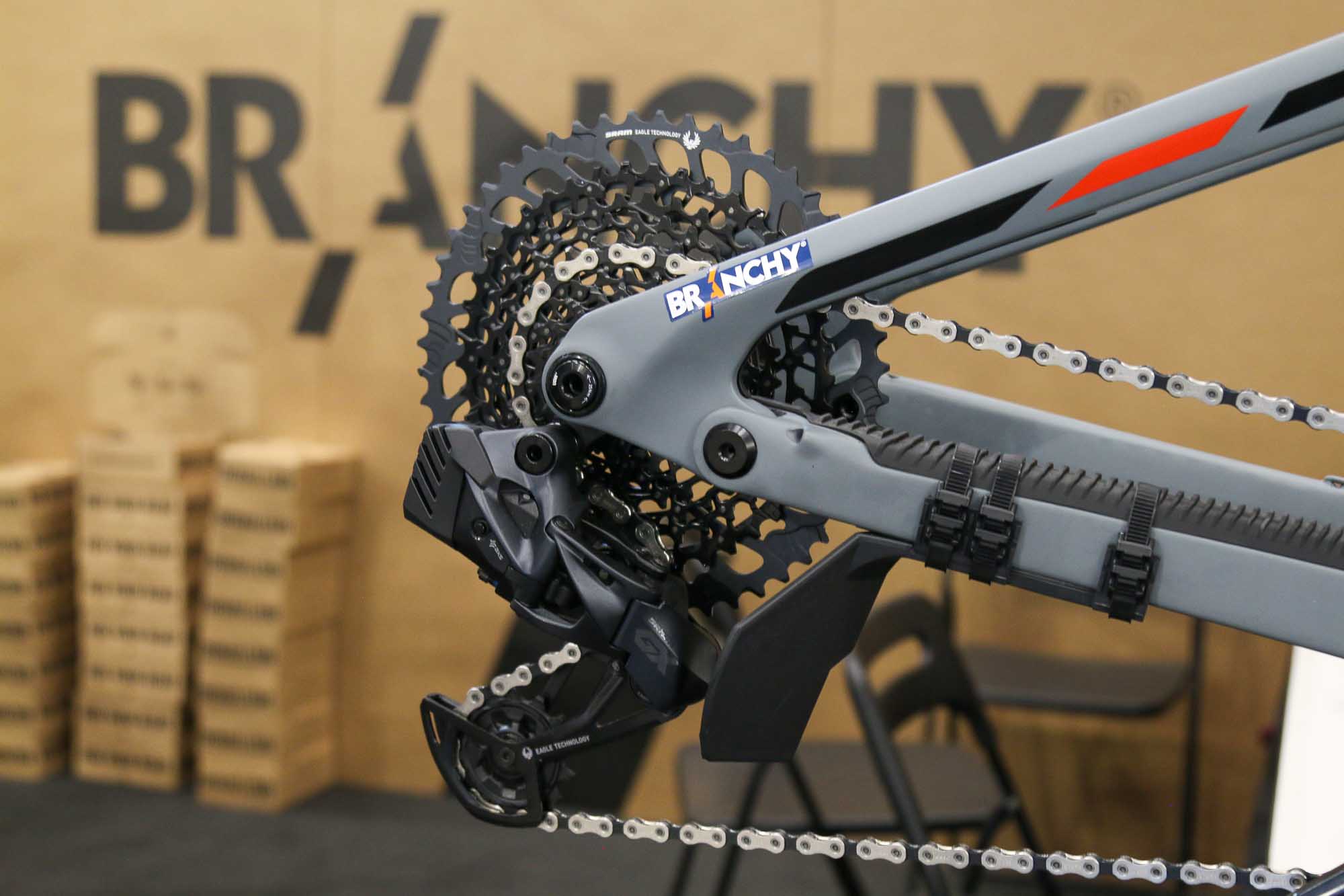Branchy Derailleur Guard mounted to chain stay