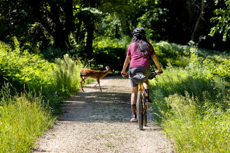 Whiskey Parts Co Scully Bar deer in the trail