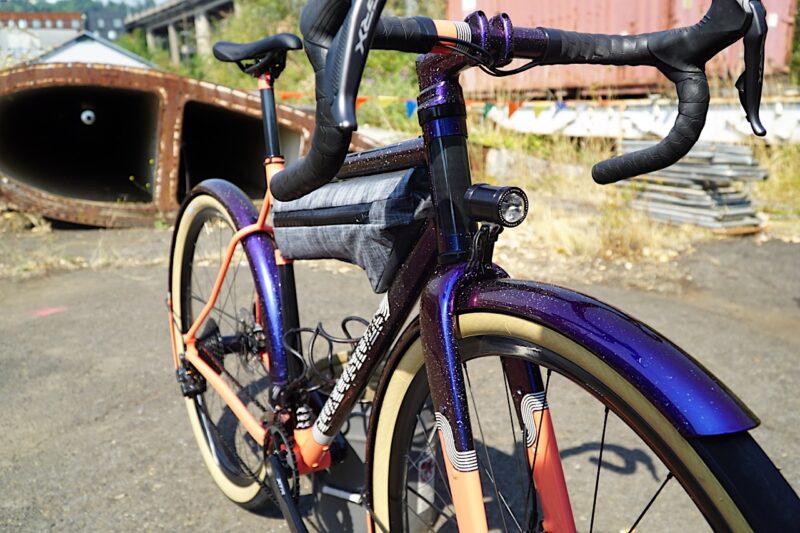 Flux Customs fork and fender