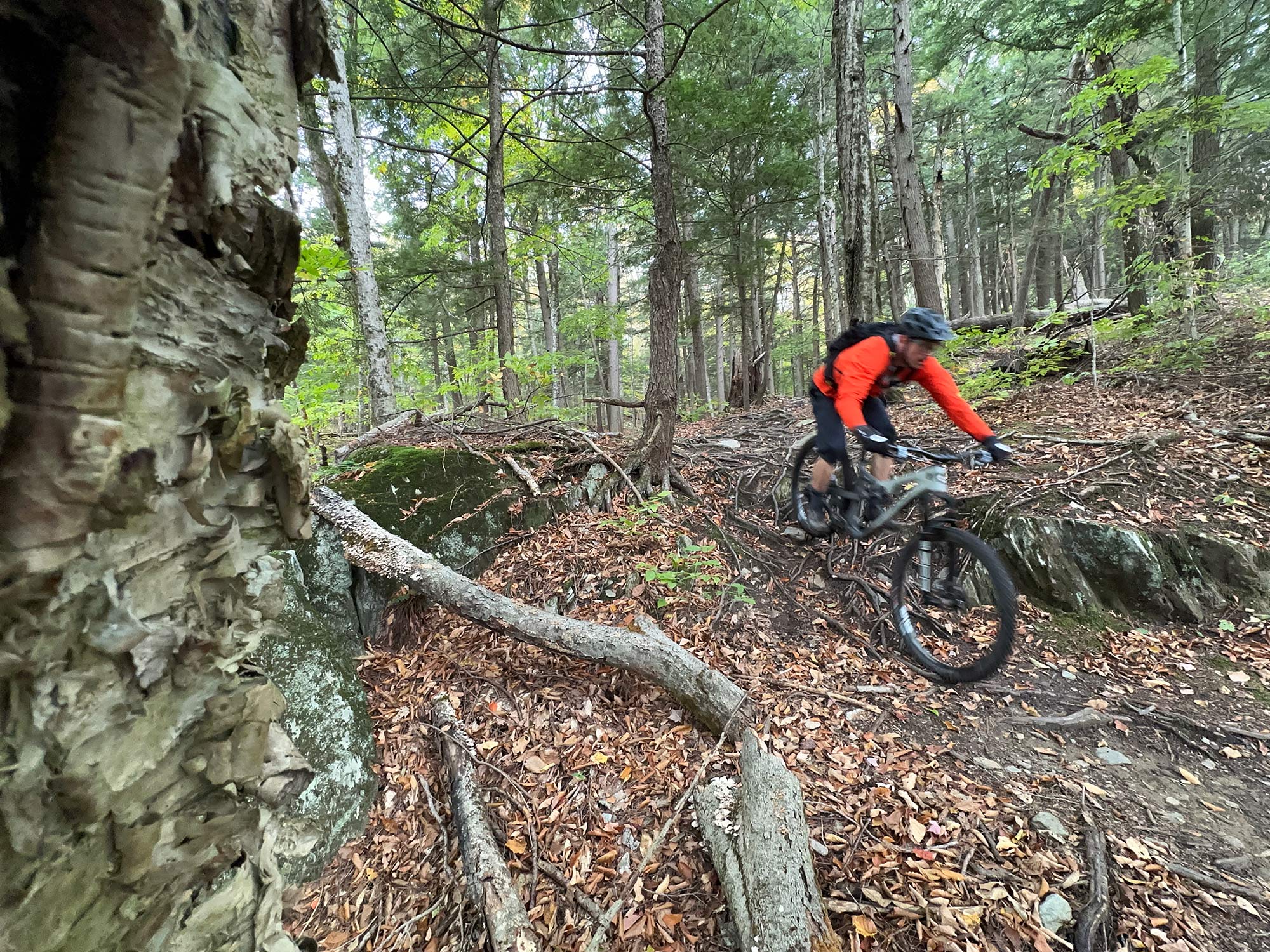 TRP EVO 12 mountain bike riding review in vermont