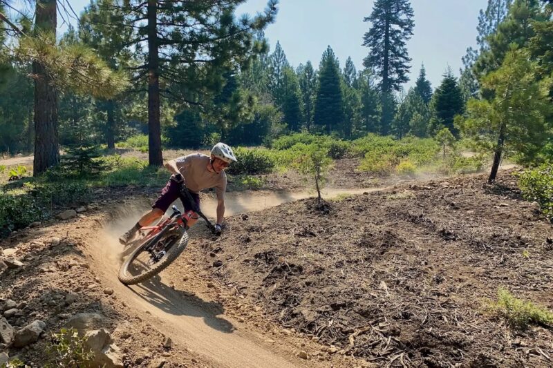 The Best Dropper Posts of 2026