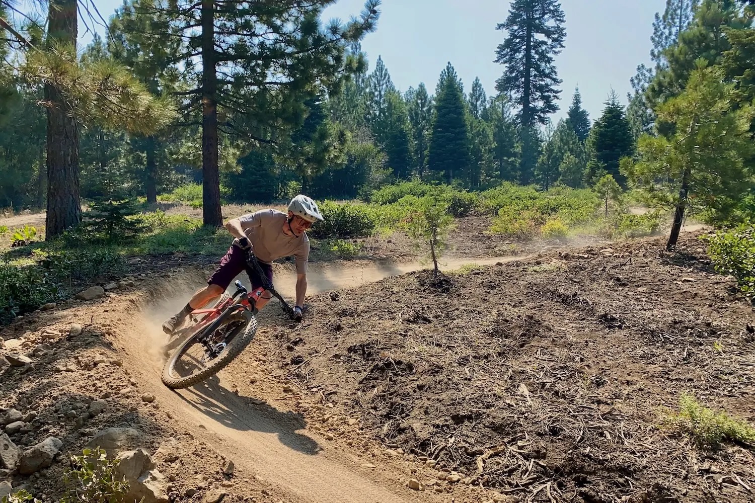 The Best Dropper Posts of 2026