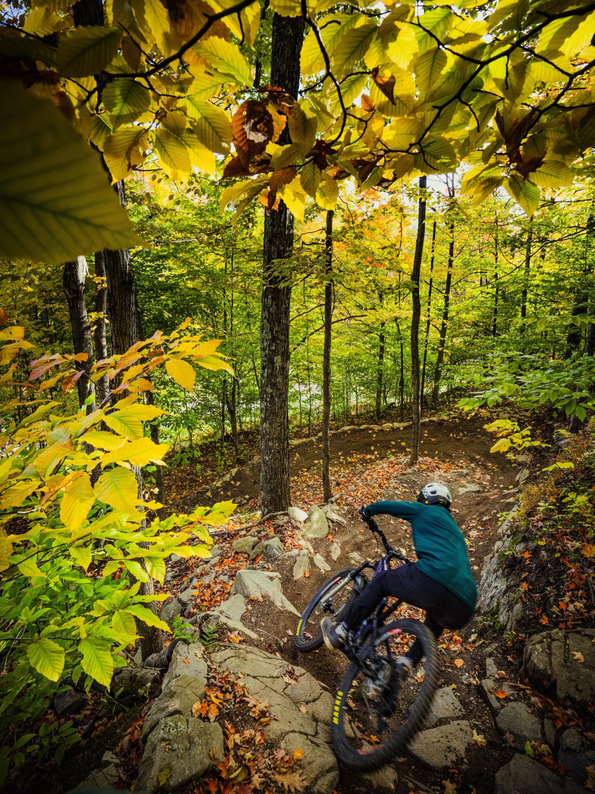 Adam Robbins from Faction Bike Studio riding while testing handlebars for our compliance testing project