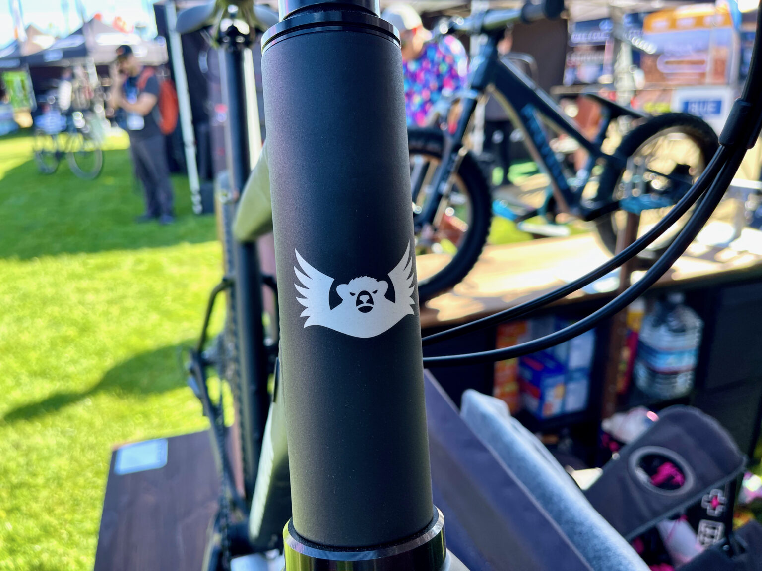 EagleBear black logo