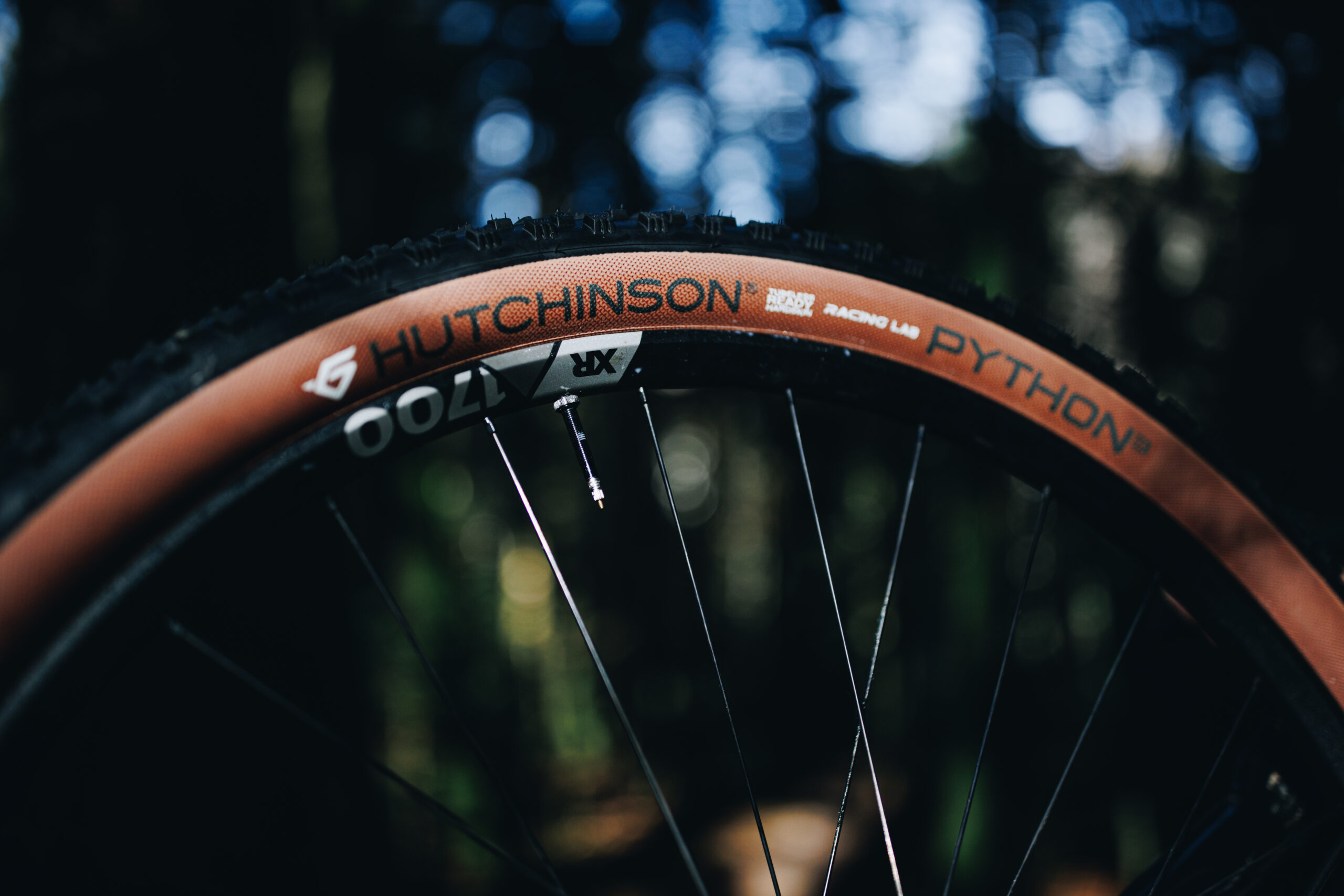 Hutchinson Python 3 header