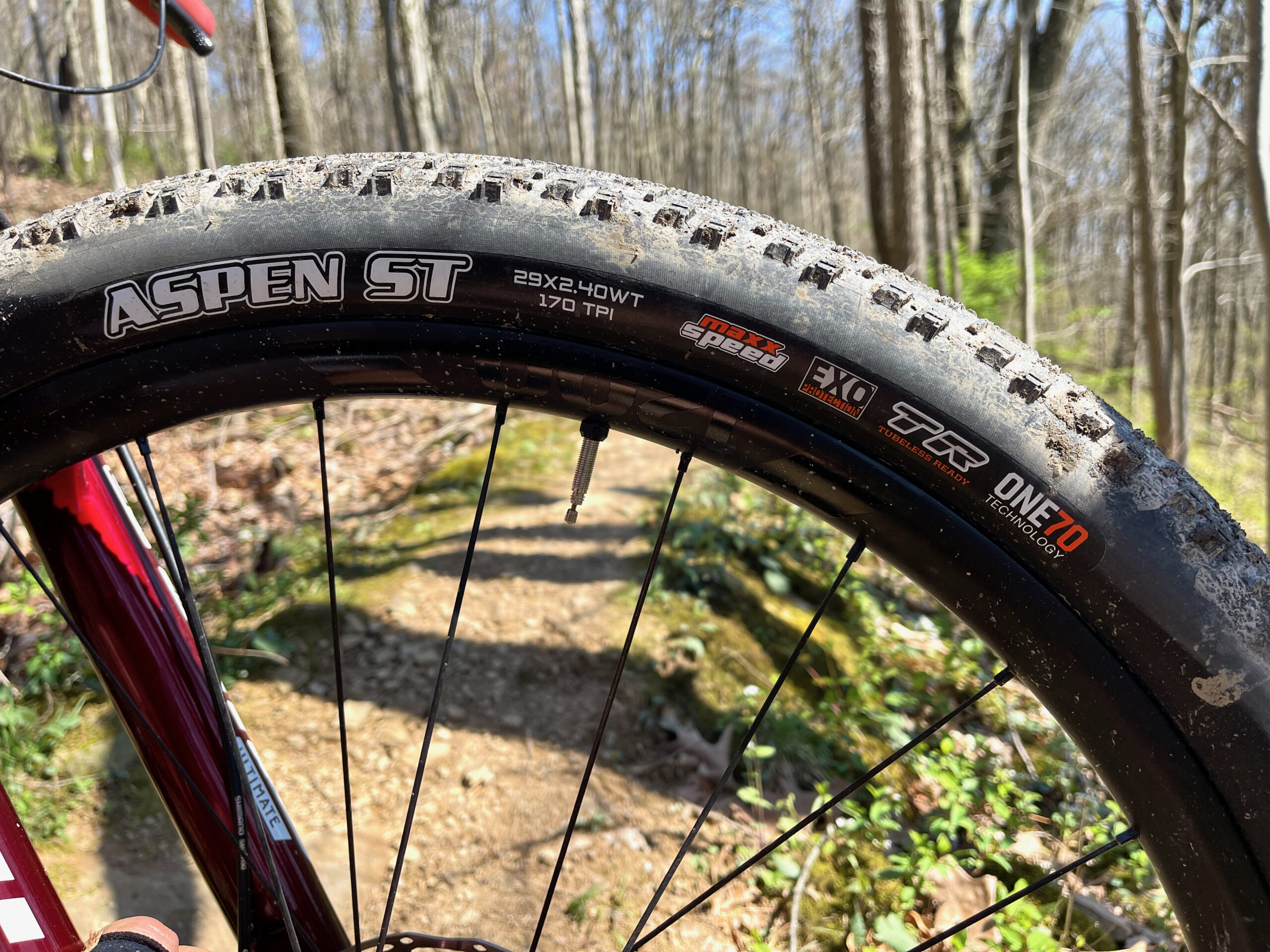 Maxxis Aspen ST