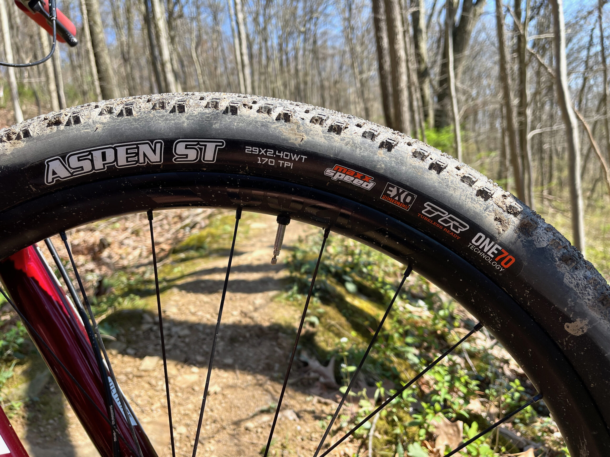 Maxxis Aspen ST header