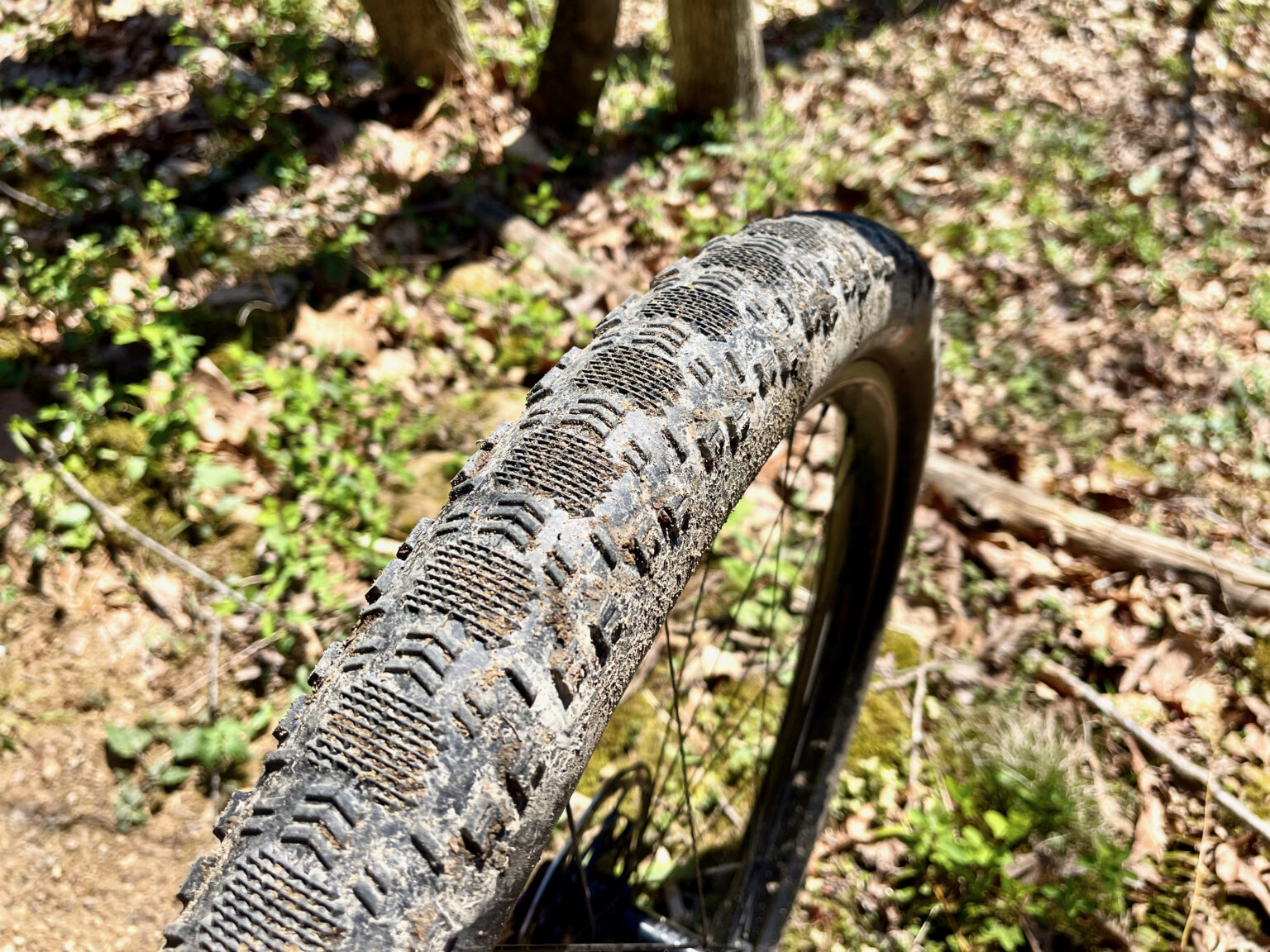 Maxxis Aspen ST side top