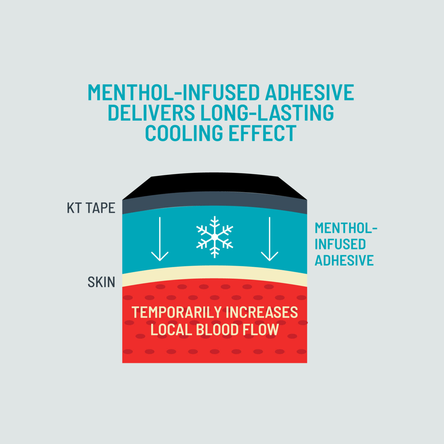 how-it-works-infographic-Pro-Ice-PDP