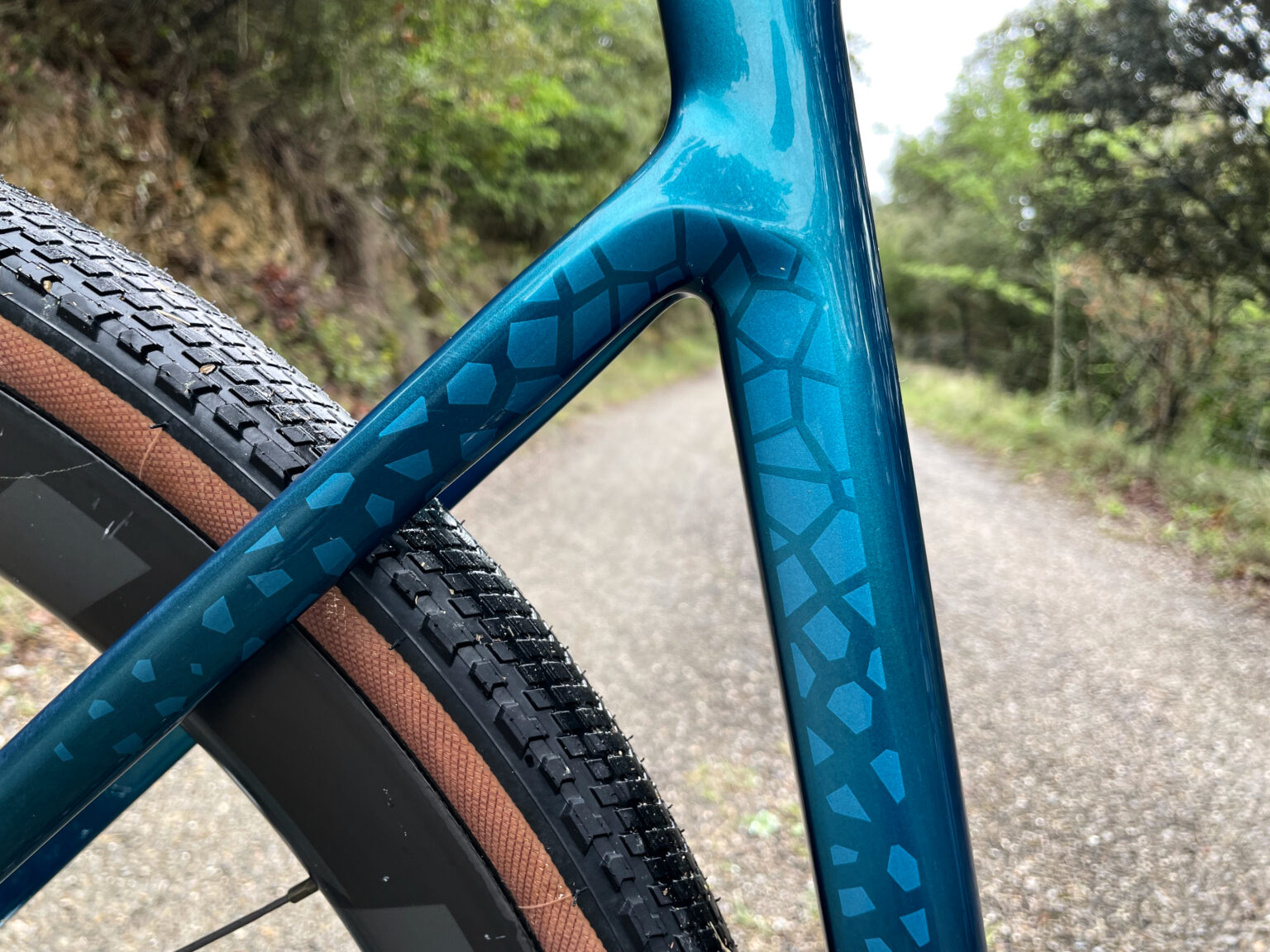 Colnago G4-X stays