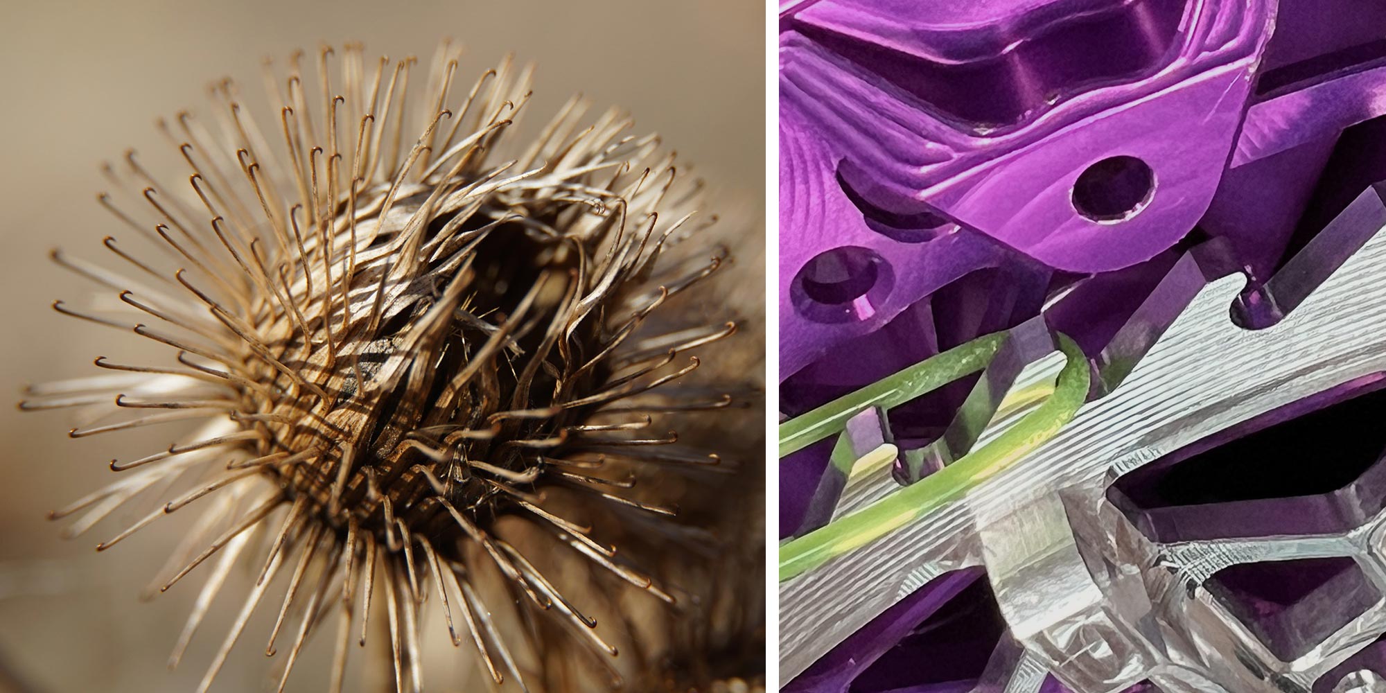 Soul-Kozak LoopsDrive patent-pending alternate bicycle wheel freehub drive clutch concept, nature inspiration