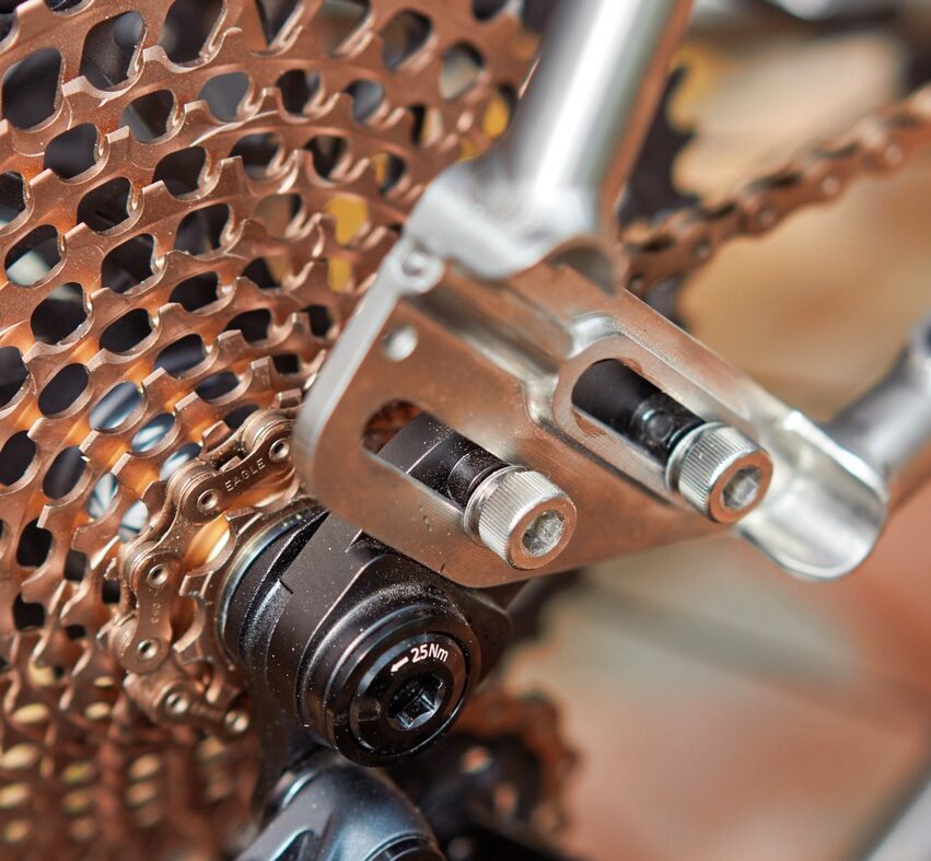 Thesis Bike Project N1 rear drop out close up