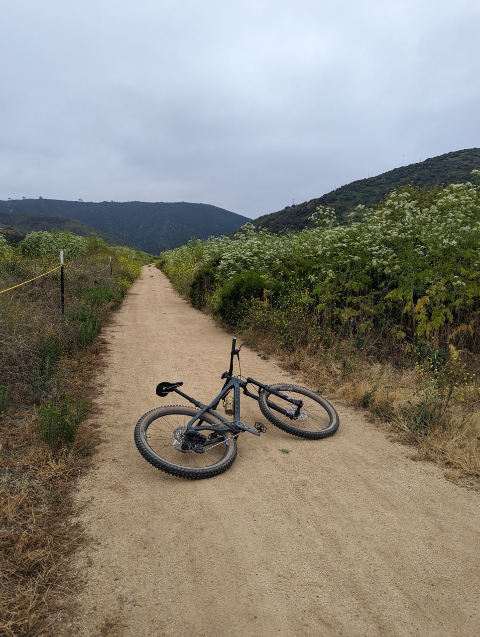 First Impressions Haro Saguaro 1 Aliso