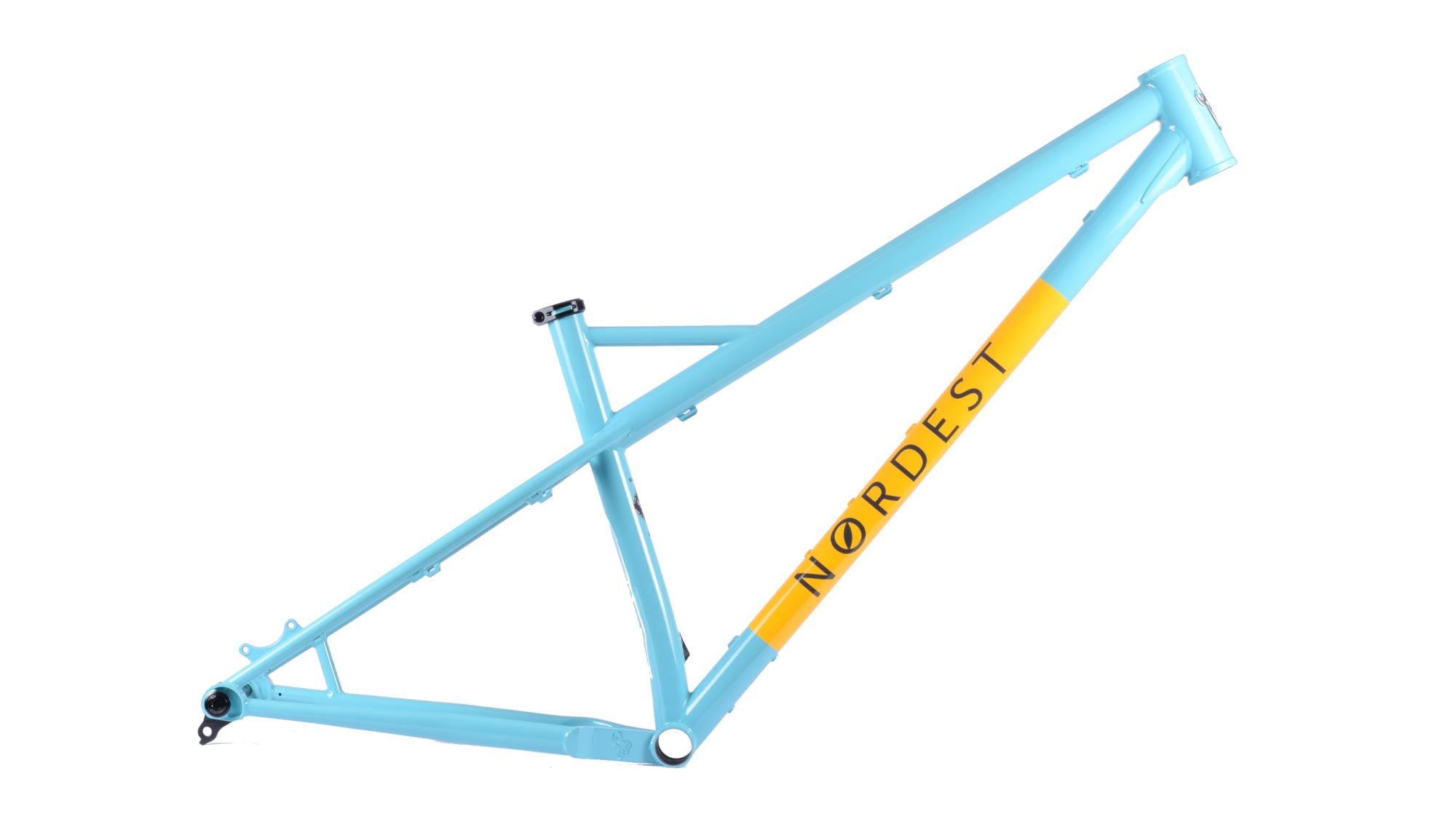 Affordable Nordest Bardino v3.5 steel enduro hardtail gets UDH, blue frame